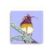 canvas-in-16x16-wall-619d90bd27b64.jpg