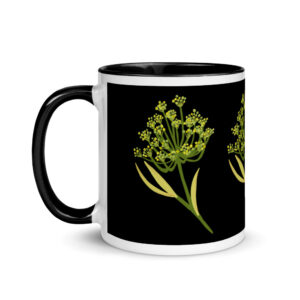 Humboldt Wildflowers Anise Ceramic Mug (Black Interior, Handle & Rim)